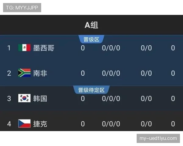 世界杯A组南非出线希望全面解读